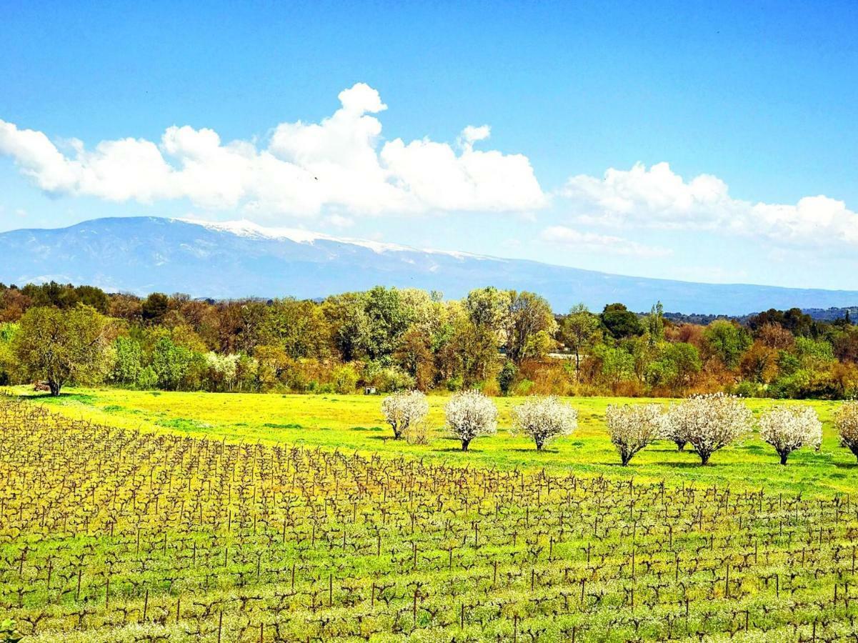 Domaine De La Brave Acomodação com café da manhã Pernes-les-Fontaines Exterior foto